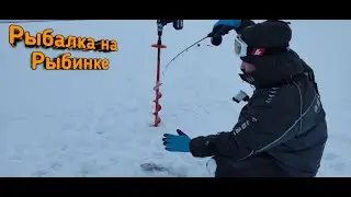 Рыбалка на Рыбинском Водохранилище.Поиск окуня.Окунь на Балансир