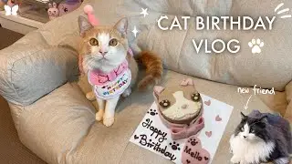 🐱 my cat turns 1 year old | new toys, outdoor playtime, birthday cake 🎂