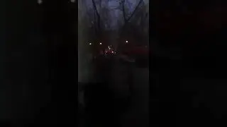 10 декабря 2019 г.