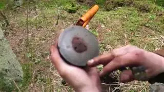 Коп в лесу.Александр(реставратор).Видео№86