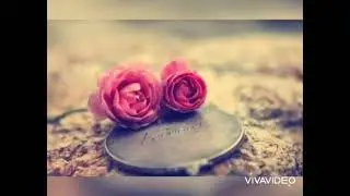 EN GÜZEL PROFİL RESİMLERİ #1