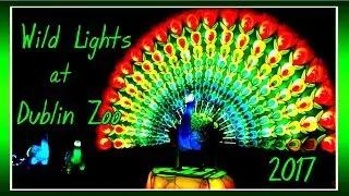 Magical  WILD LIGHTS at Dublin Zoo!!!ШОУ китайских фонарей. ИРЛАНДИЯ