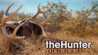Прохождение theHunter Call of the Wild #35