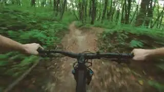 vidikovac stumpy run