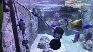 Sun Sun 304b Vs Fluval FX4