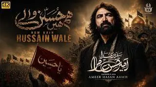 Hum Hain Hussain Wale | Ameer Hasan Aamir Nohay 2026 | New Noha 2026