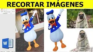 Como quitar el fondo de una imagen en Word - borrar el fondo de una imagen  | tutorial de Word