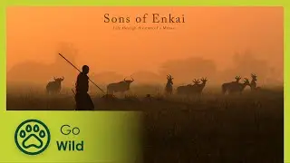 Sons of Enkai (trailer) | Go Wild