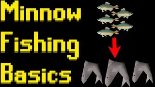 Basic Minnow Fishing Guide 2021 (OSRS)