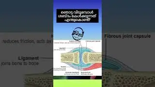 ഞൊട്ട വിടുമ്പോൾ ശബ്ദം കേൾക്കുന്നത് എന്തുകൊണ്ട്