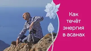 Как правильно направлять энергию, выполняя асаны йоги