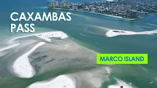 Explore Caxambas Pass off Marco Island - Sandbar & Island Hop by SUP, Kayak, Boat - Great Shelling