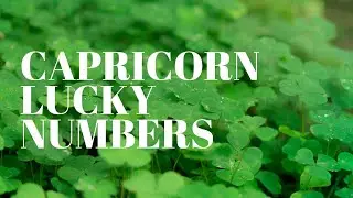 Capricorn May 2021 Lucky Numbers