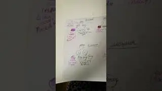 Маркетинг Автопрограммы Лайм. ватсап +79084592089