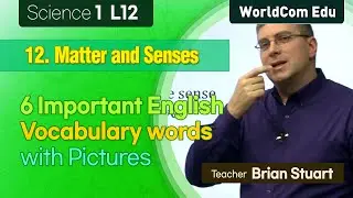 6  Important English Vocabulary Words with pictures  I  Science 1. L12. Matter and Senses