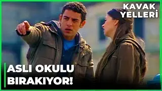 Efe, Aslı'ya Hayat Dersi Verdi - Kavak Yelleri 41. Bölüm