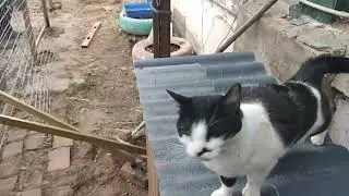 Дела приютские