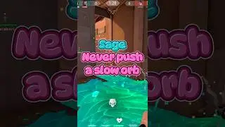NEVER PUSH A SAGE SLOW ORB 