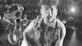 Колхозный панк ♫ на губной гармошке