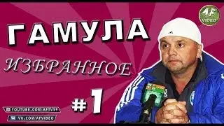 GAMULA: FAVORITES #1