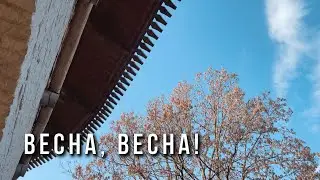Весна, весна!