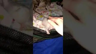 Первые шаги из гнезда в Большой мир!!!