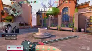 TenZ with scorpion grip.