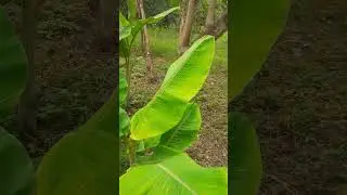 Beauty of Nature