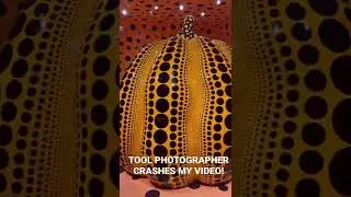 Kusama Exhibit Video Gets Photo Bombed  By Rude Old Photographer 