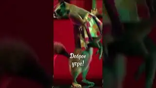 Доброе утро!