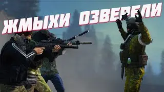 ОНИ ОБНАГЛЕЛИ В КРАЙ | DAYZ RP