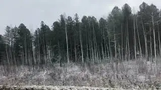 К Нам Пришла Зима