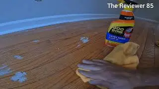 Goo Gone Latex Paint Removal