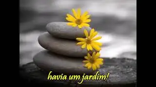 Amizade
