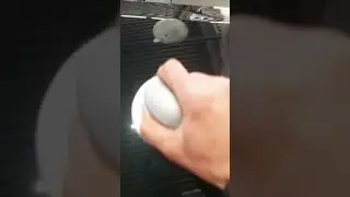 how to put wax  on the car