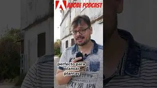 Ponemos a prueba adobe podcast (enlace speech) #shorts #ia #adobepodcast #adobe