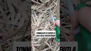 Rifiuti sulle autostrade 🚯🚗 Basta con gli abbandoni! 😩