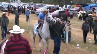 SANTA RITA LA TRINITARIA CARRERA DE CABALLOS