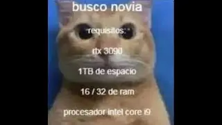 SHITPOST COPILATION V1/ESPECIAL 10K