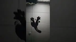 уроки гитары