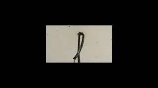 Как построить дом?#дом #shortvideo #стройка  #строительство #стройкадома #short #shorts #строимдом