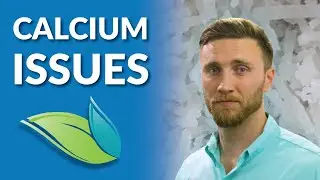 Pool Crystals, Plaster Dust, and other Calcium Issues in Pools | Orenda Whiteboard
