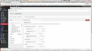 make a static menu item in wordpress