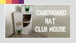 DIY | Making a Cardboard Rat Clubhouse