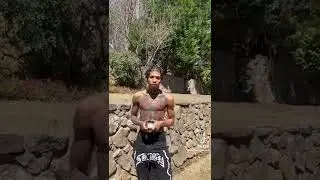 NLE Choppa New Herb