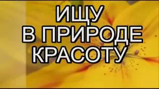 ИЩУ В ПРИРОДЕ КРАСОТУ