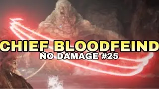 Chief Bloodfeind (No Damage) Elden Ring Shadow of The Erdtree