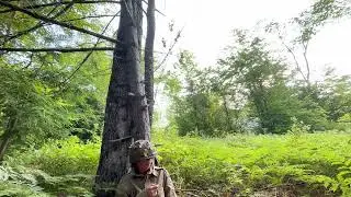 The Horrors of War-A WW2 Short Film