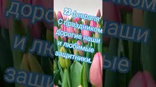 23.02.2024.Выгонка тюльпанов продолжается . #23февраля #выгонкатюльпановк8марта  #тюльпанык8марта