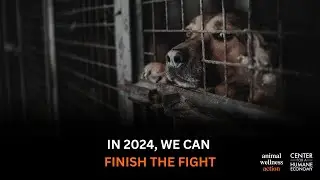 Join our Fight for Animals in 2024